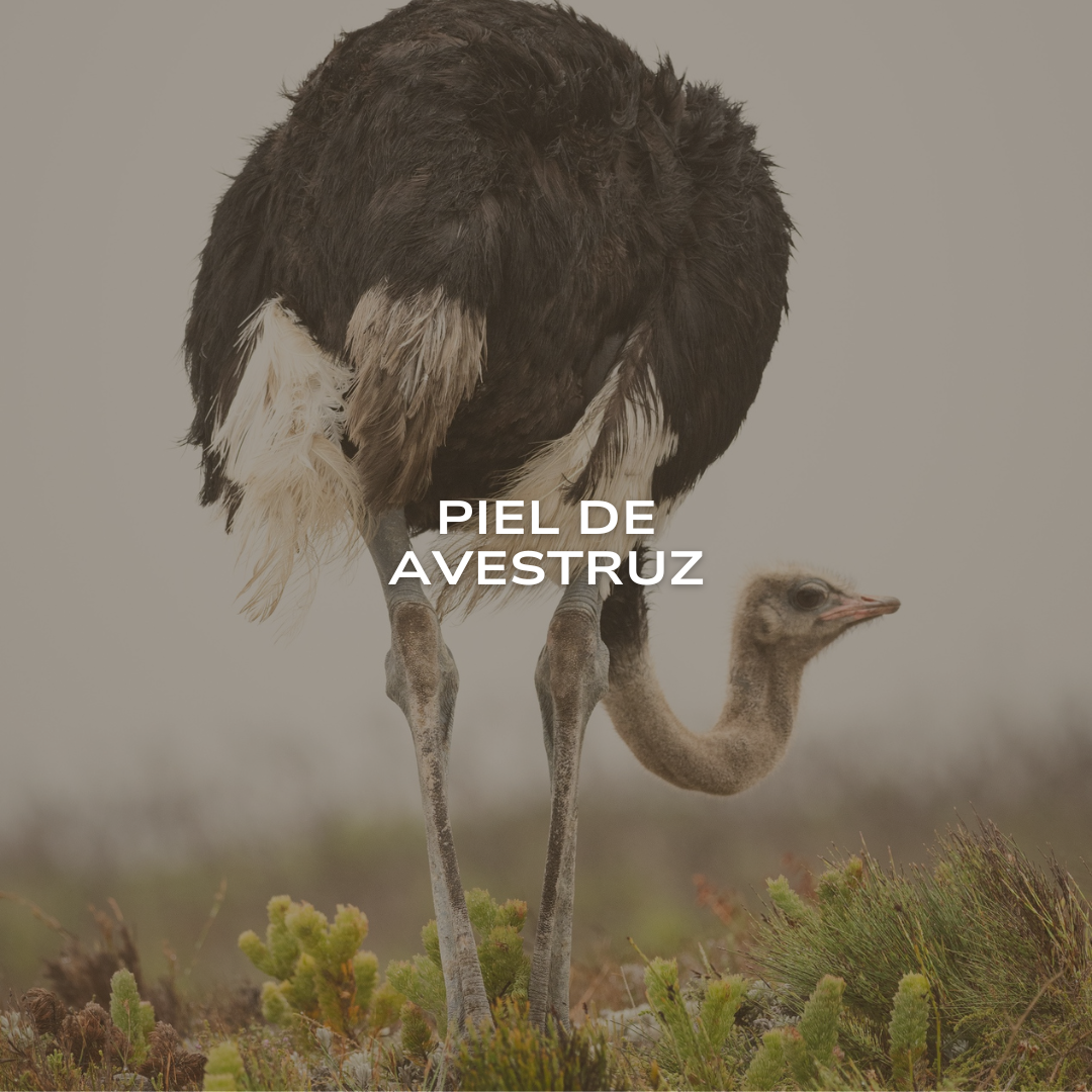 Piel de Avestruz
