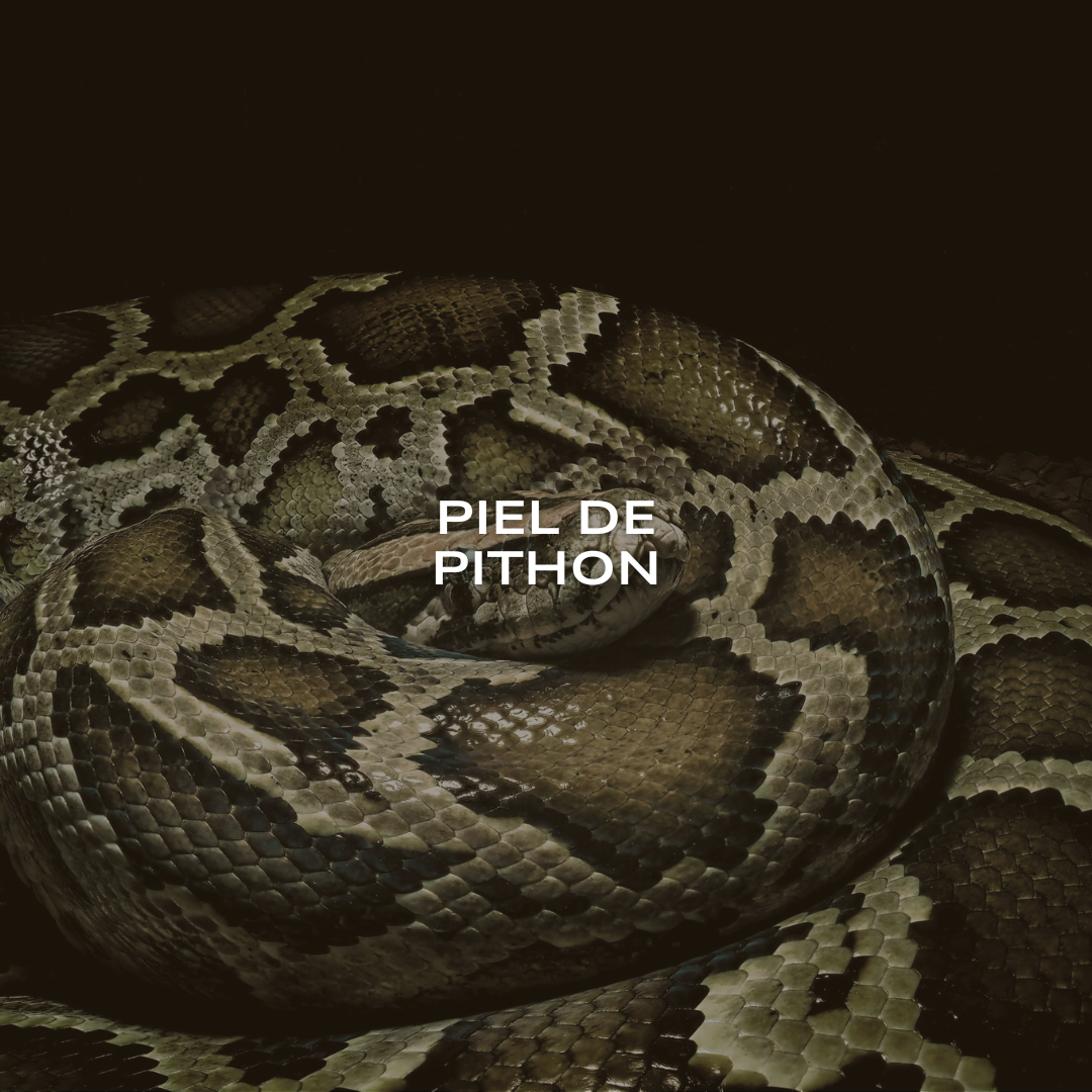 Piel de Pithon
