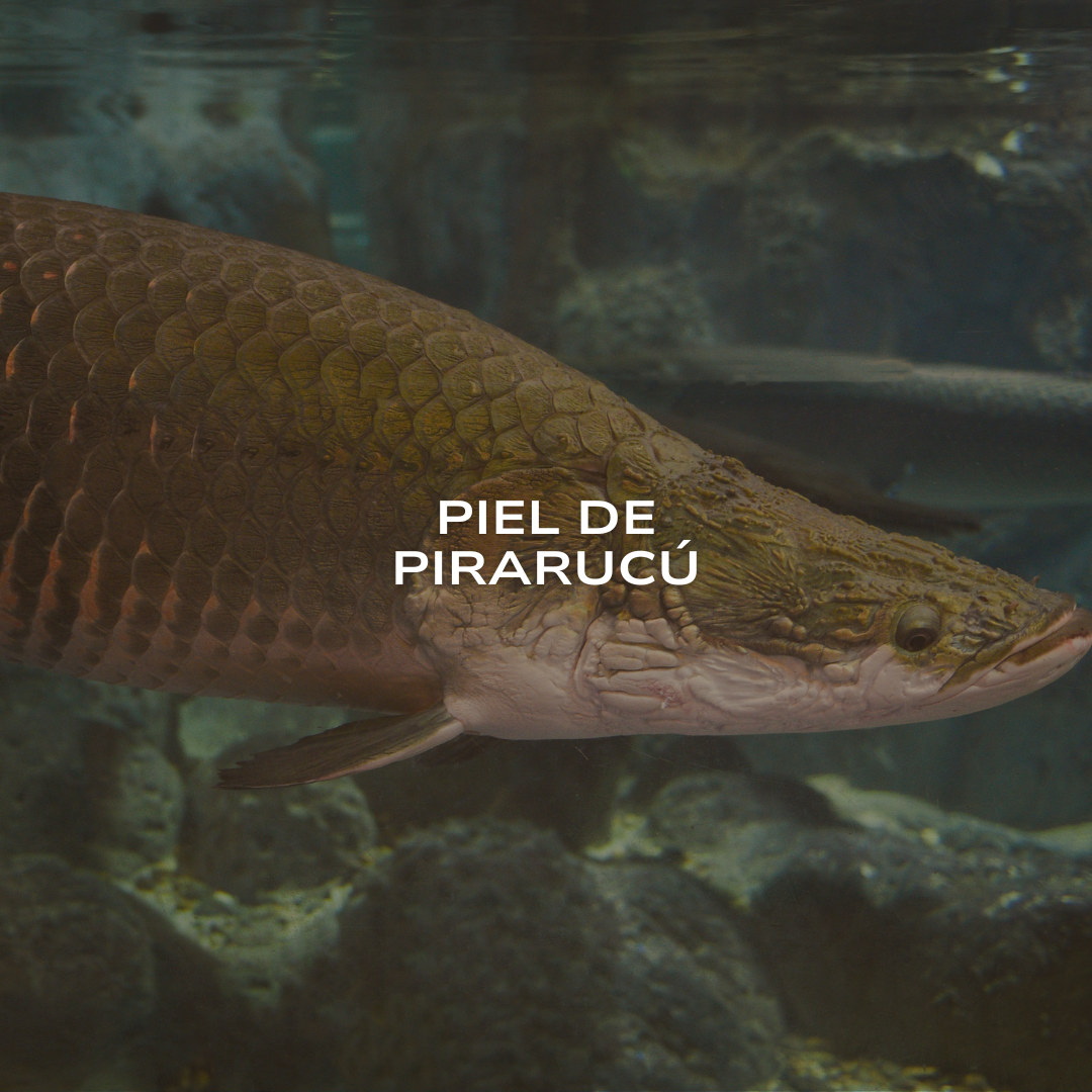 Piel de Pirarucu