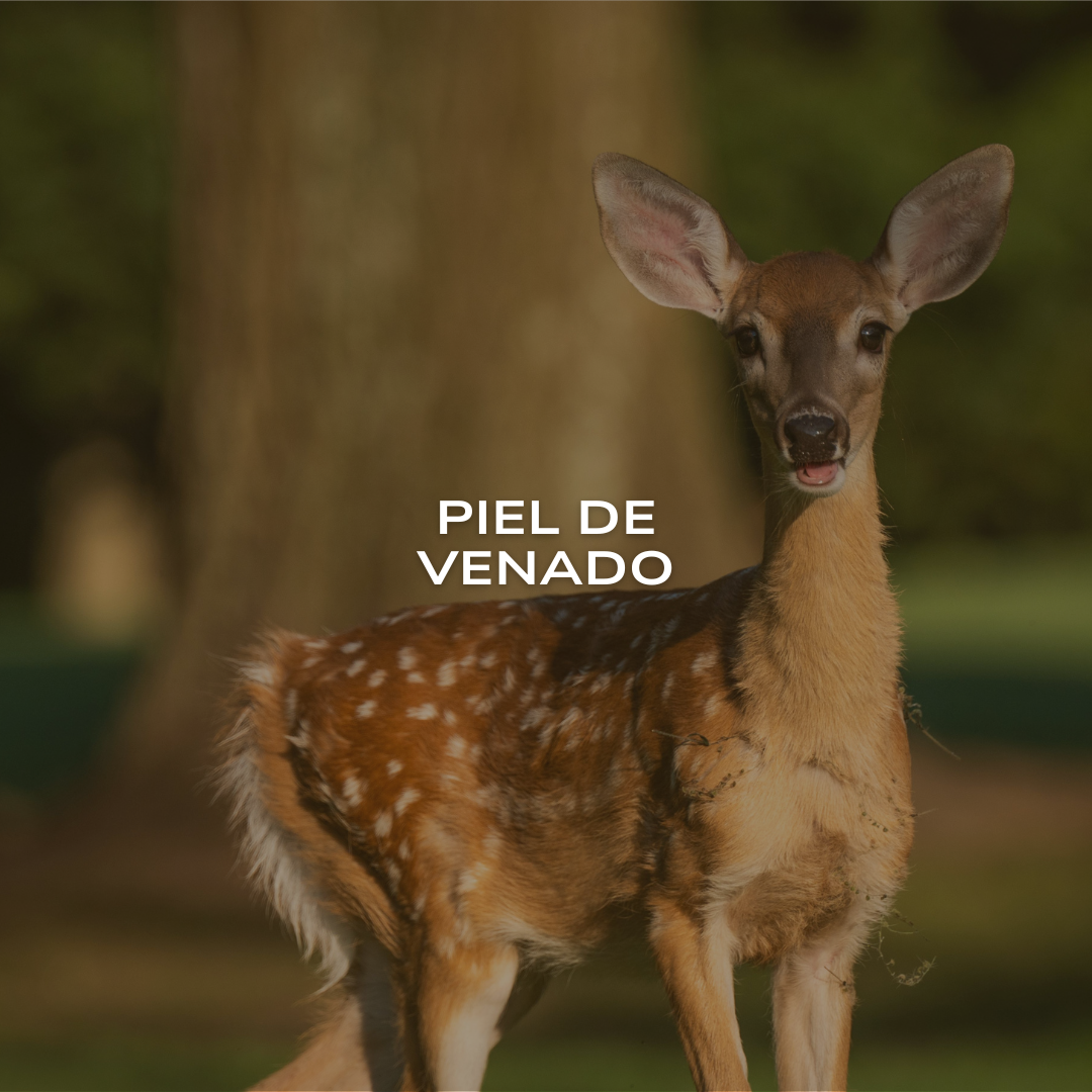 Piel de Venado
